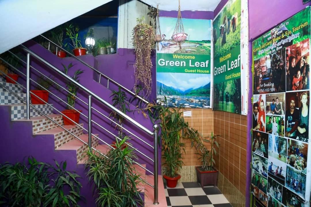 Green Leaf Guest House Sreemangal Eksteriør billede